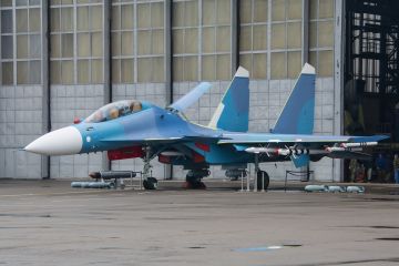 Ради современных истребителей Беларусь еще глубже влезает в долги