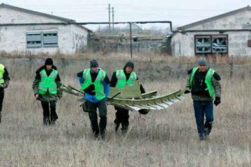 Взяли за горло: в Нидерландах заговорили о роли Украины в крушении МН17