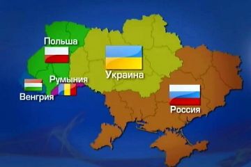 Формула Штайнмайера: Киев чувствует скорое уничтожение своей недогосударственности
