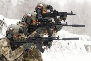 Для чего нужен фейк про российский спецназ на Шпицбергене?