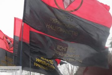 Украинца в Польше поставили на колени, заставив съесть бандеровский флаг