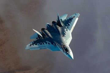 Су-57 получил уникальную боевую окраску