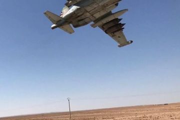 Российский Су-25 оказался бессилен под прицелом F-22 и вызвал «старшего брата»