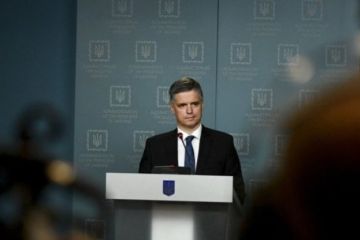 Три сценария Пристайко показали отсутствие у Киева стратегии по Донбассу