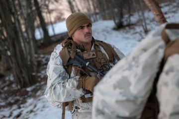 Норвегия отвернулась от НАТО ради России