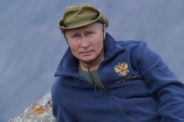 Большая стратегия Путина: краткая история возрождения России (Fort Russ News, США)