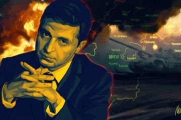 Немецкий политик рассказал, почему Зеленский боится украинских радикалов в Донбассе