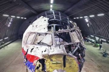 Нидерланды жестко отомстят Украине за Цемаха