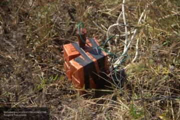 Четыре человека на Донбассе стали жертвами взрывов боеприпасов