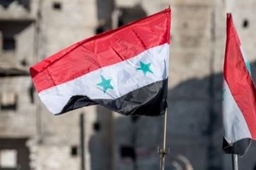 Сирийский флаг подняли над госучреждениями в городах Хасеке и Камышли