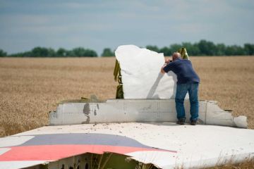 Найден след США в крушении малазийского "Боинга"