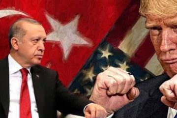 Выгоды для России: суть турецкой операции в Сирии и интересы сторон