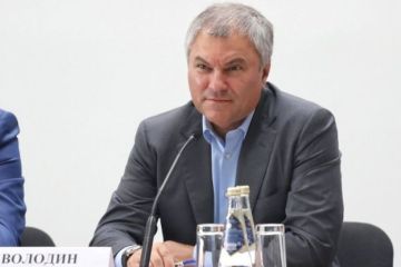 Митинги в Москве стали попыткой США дестабилизировать ситуацию в России – Володин