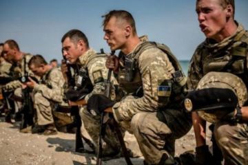 Миссия ООН на Украине обвинила сайт «Миротворец» в убийстве ополченца Джумаева