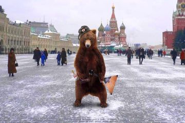 Собрал целый список: причудливые русские привычки удивили приехавшего в Россию американца