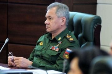 Приоритеты Шойгу в военном строительстве учитывают стратегическую безопасность России