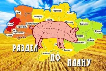 Встречайте, Западно-Украинская Народная Республика