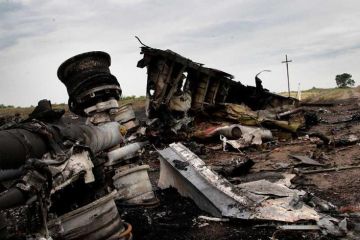 Лидерам ЕС представили новые данные о крушении МН17
