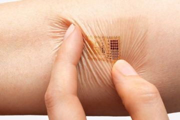 В Прибалтике хотят «чипировать» украинских гастарбайтеров