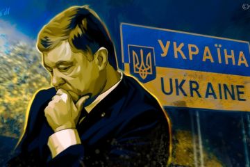 Сэм Кислин обвинил режим Порошенко в развязывании гражданской войны на Украине