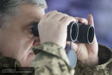 Порошенко готовит масштабную провокацию в Донбассе