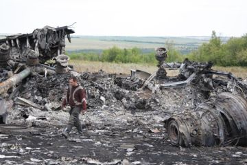 На Украине убили шпиона США из-за улик в деле MH17