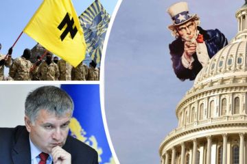 Зачем американские демократы «сливают» украинских националистов