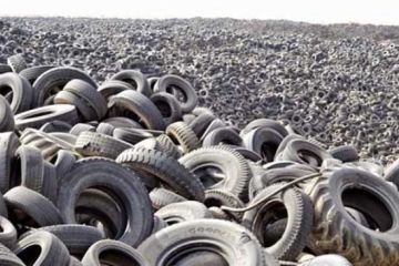 Булки растут на деревьях, а б/у шины уносят на небо волшебные феи