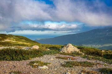 У Японии появился новый план по "возвращению" Курил