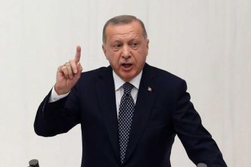 Перед разговором с Путиным Эрдоган выдвинул ультиматум