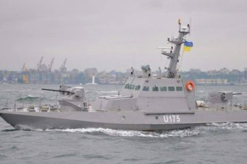 Военный эксперт объяснил, почему из украинских бронекатеров «Гюрза-М» получился «пшик»