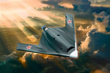 Военный аналитик рассказал о главной особенности серийной модификации БПЛА «Охотник»