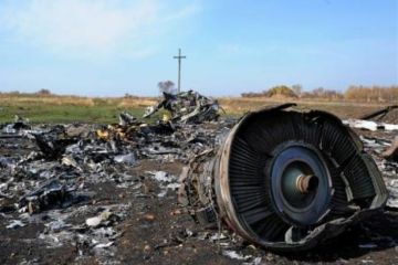 Честное расследование по «Боингу» станет крючком для Коломойского