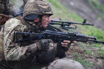 Междоусобица в ВСУ: украинские бойцы расстреляли друг друга под Донецком