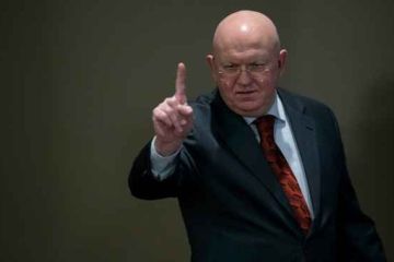 Небензя осадил высокомерных немцев неудобным вопросом