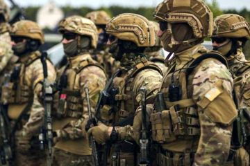 Разоружить и обезвредить: Киев бросает спецназ против националистов