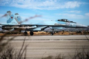 Турки собирают помидоры, чтобы закупить Су-35 вместо F-35