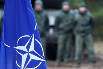 Руководство НАТО пошло на контрпродуктивную провокацию России – немецкий депутат