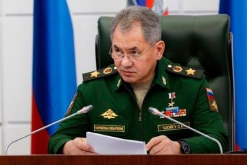 Шойгу обозначил приоритеты коллективной безопасности стран СНГ
