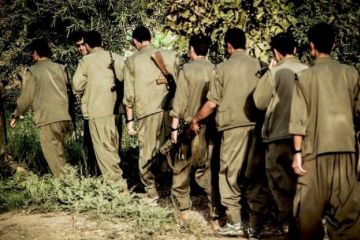 Меморандум России и Турции положил конец беспределу курдских банд у границ Сирии