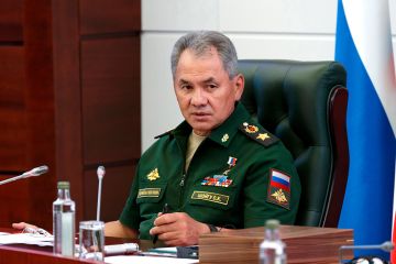 Шойгу жестко раскритиковал командование части, где произошел массовый растрел
