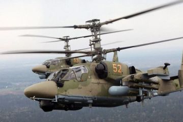 «Аллигатор» получит дальнобойный «Резец»