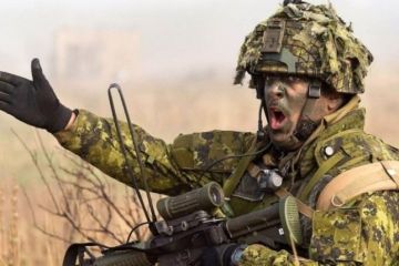 Мозг НАТО съели американо-турецкая «опухоль» и трамповские «жирные коты»