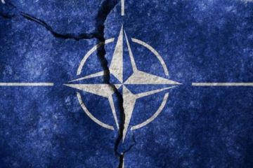 "Смерть мозга" НАТО освобождает Францию от обязательств перед США