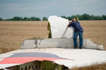 Дожали: ключевой свидетель по делу MH17 выложит Нидерландам всю правду