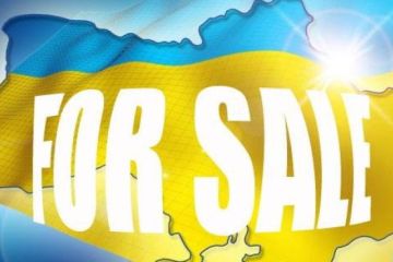 Государство Зеленского: продать нельзя оставить