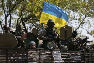 Одиозная майданщица случайно разболтала одну из главных тайн конфликта в Донбассе