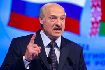 Российский экономист объяснил, почему Лукашенко «огрызается и плюется»