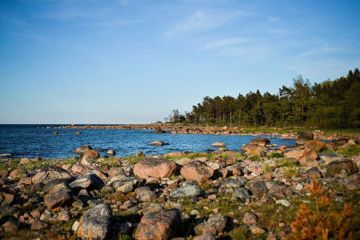 WSJ: Запад практически деморализован...