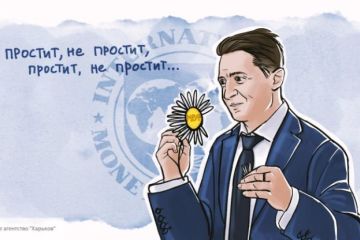 Украинский экономист разоблачил двойную игру Зеленского с МВФ